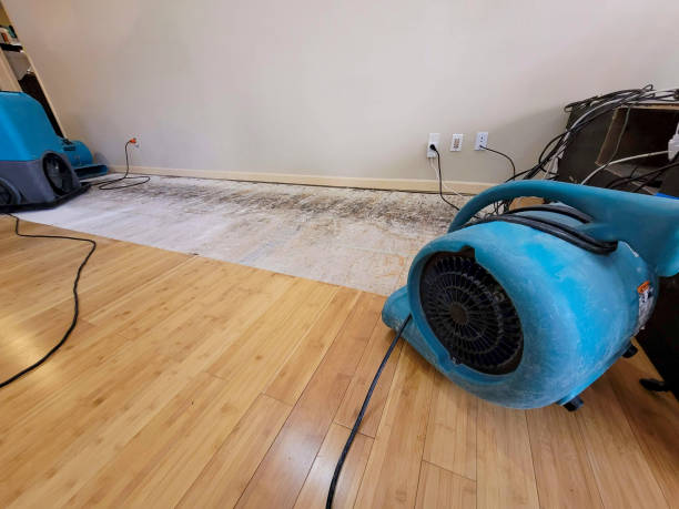 Professional Ceiling Water Damage Repair technician working in Willoughby, OH